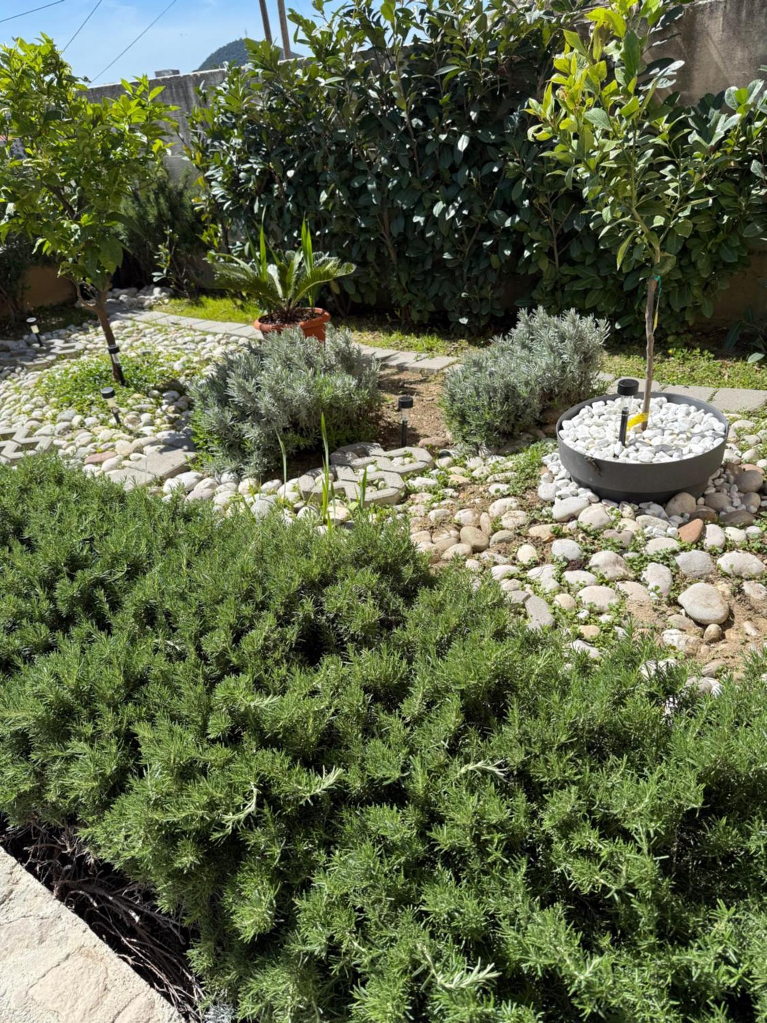 Lemon Tree Dubrovnik Apartments Bagian luar foto