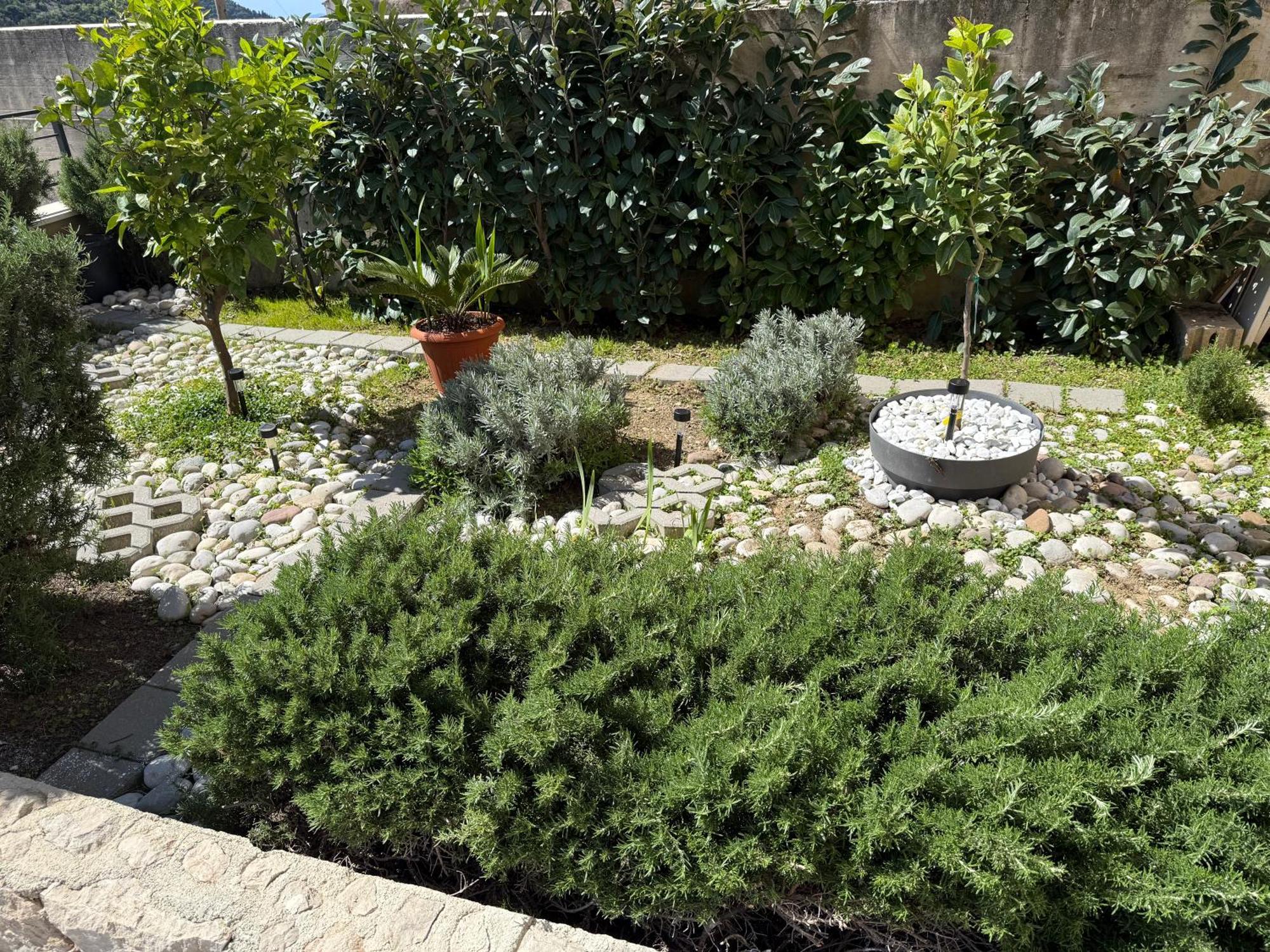 Lemon Tree Dubrovnik Apartments Bagian luar foto
