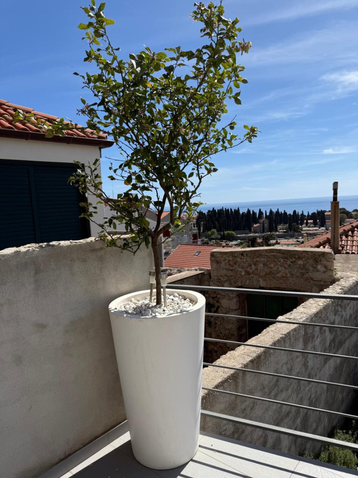 Lemon Tree Dubrovnik Apartments Bagian luar foto